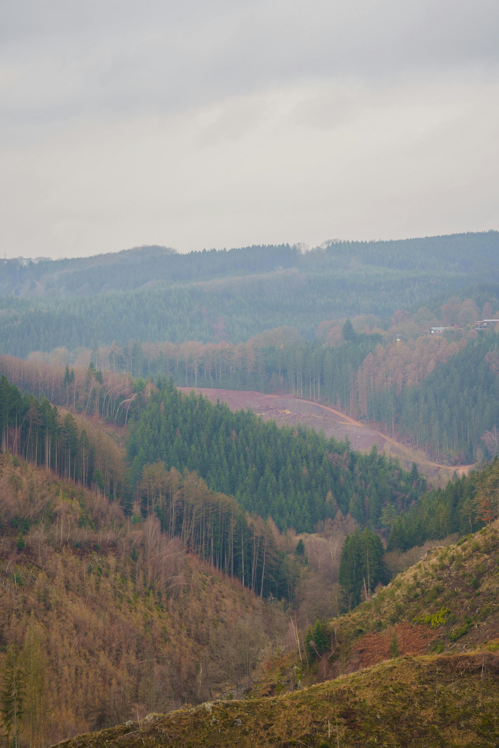 Paysage brumeux des Ardennes belges