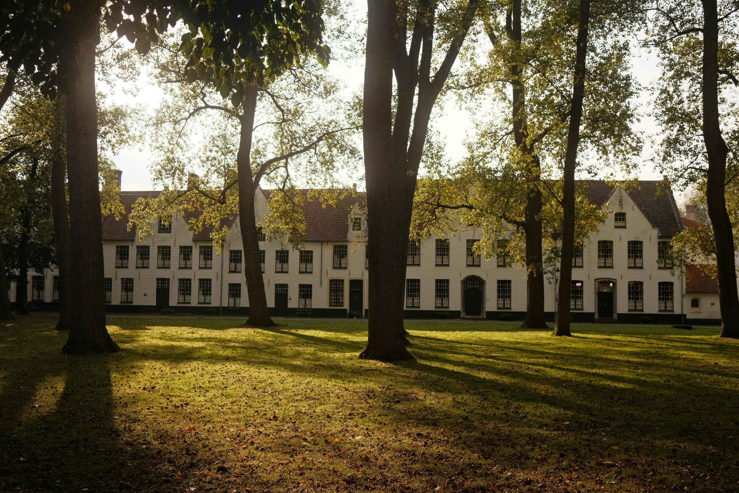 Cour intérieure d'un béguinage flamand